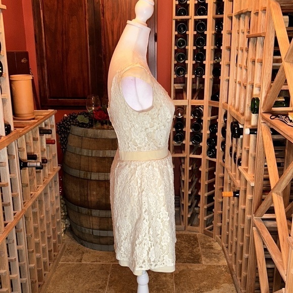AMERICAN EAGLE OUTFITTERS Adorable & Sexy Cream Lace Dress Size 2 - Picture 5 of 7